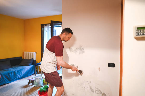 Best DIY Mold Remediation Support Services in Flatonia, TX