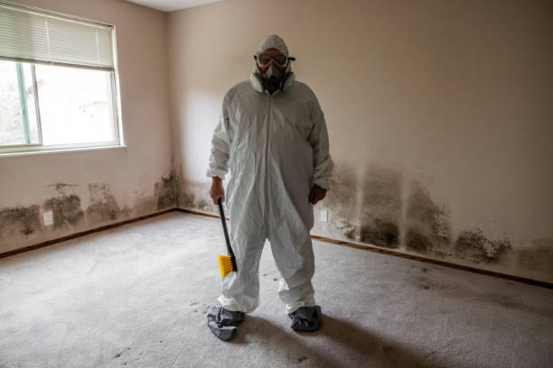 Best Industrial Mold Remediation in Flatonia, TX